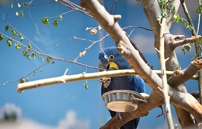 手机号压测工具