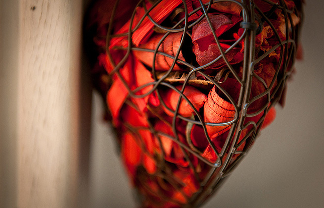 免费用虚拟号码发电话