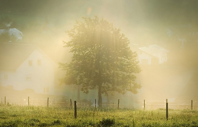 免费电话轰炸机