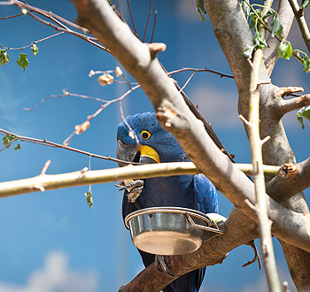 短信压力测试器免费网页版