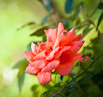 手机号压测工具