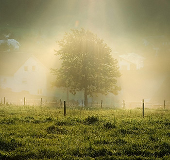 在线短信轰炸网页版