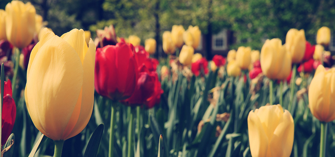 批量发送短信的平台